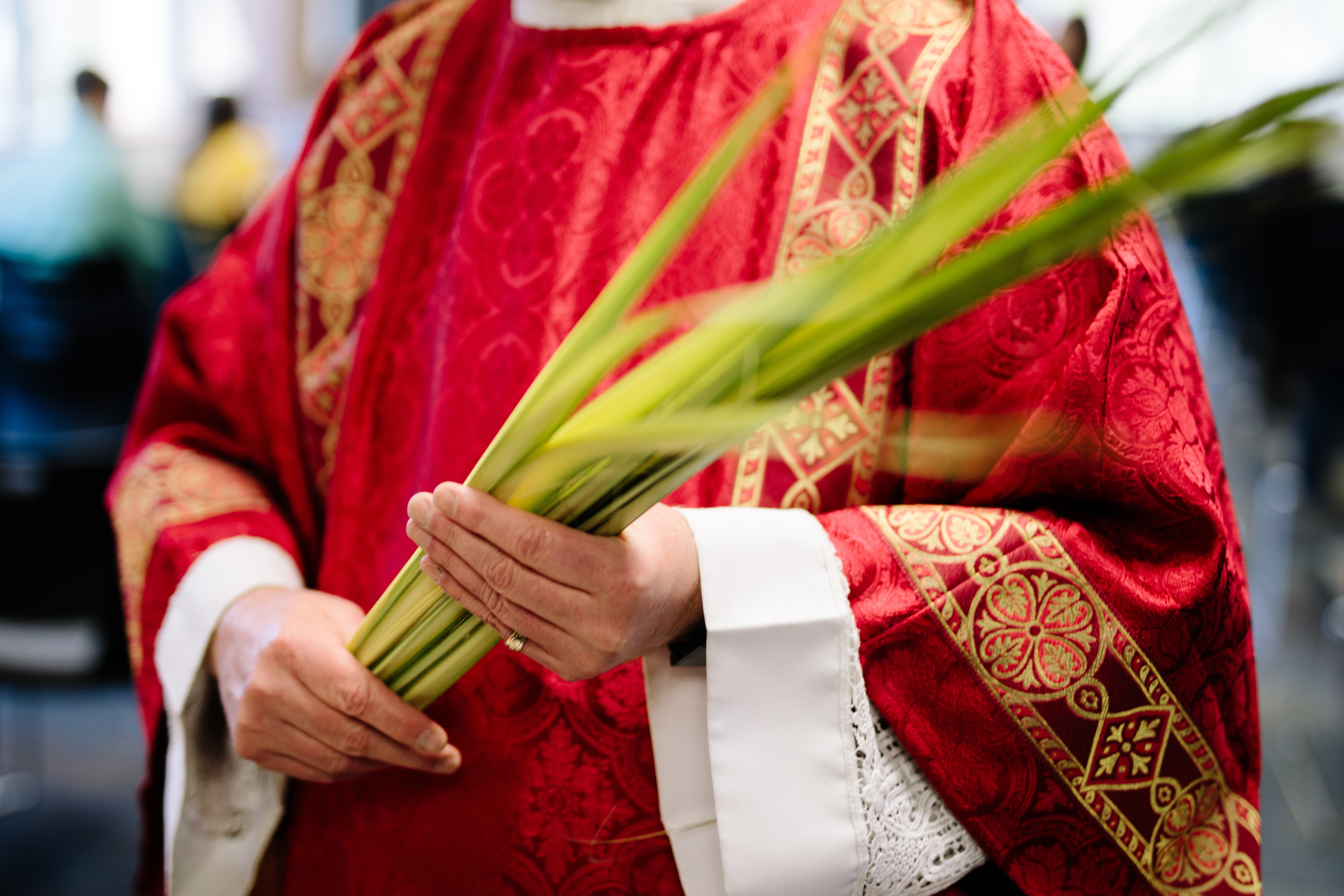 Photo of a priest holding a palm frond